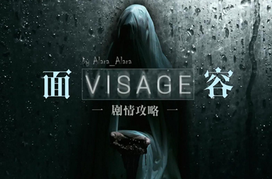 面容 / visage