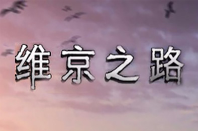 维京之路
