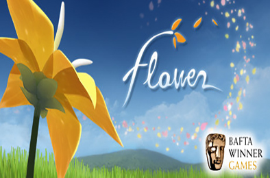花 / Flower