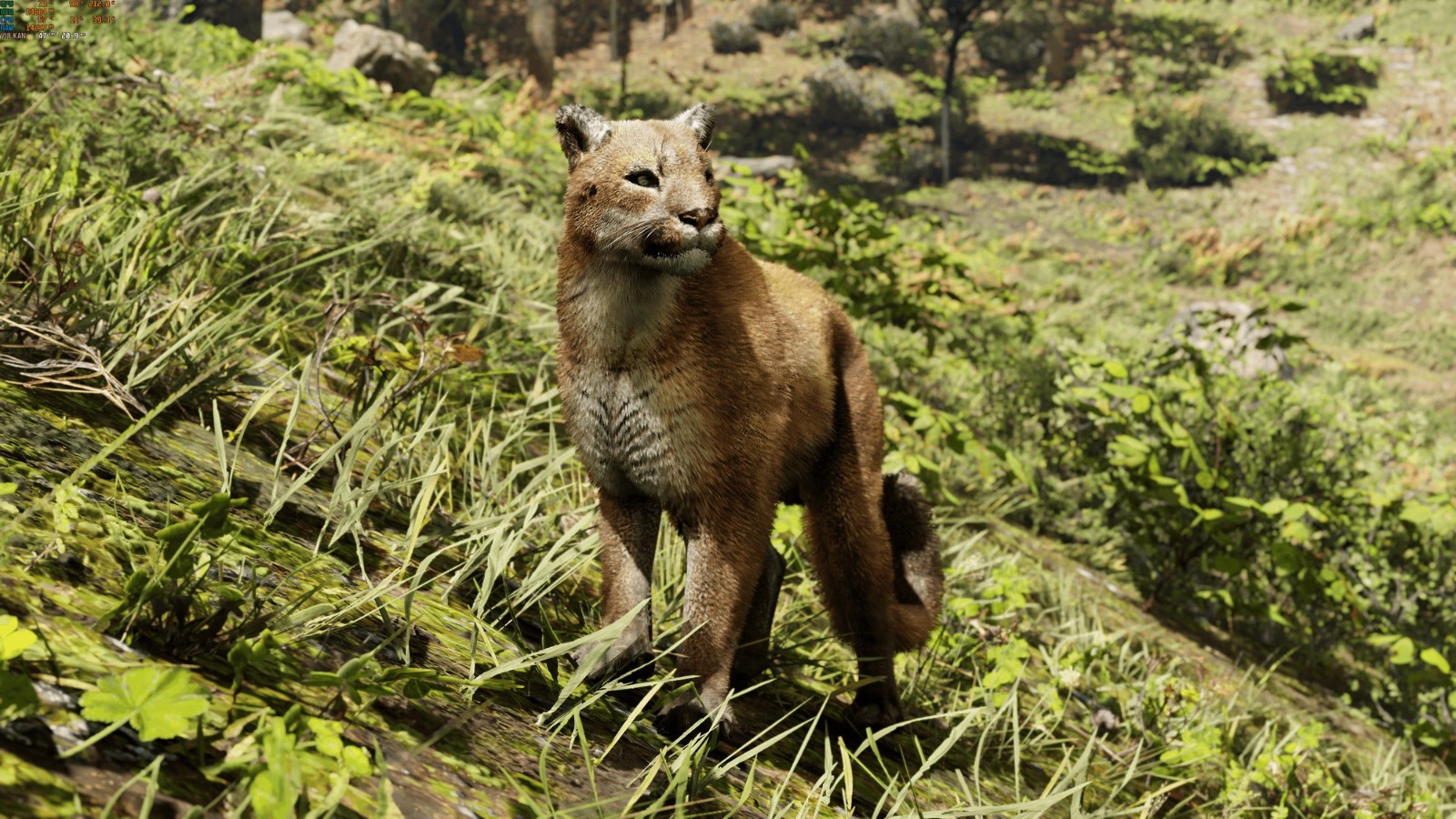 《荒野大镖客2》新高清Mod让中大型动物更真实
