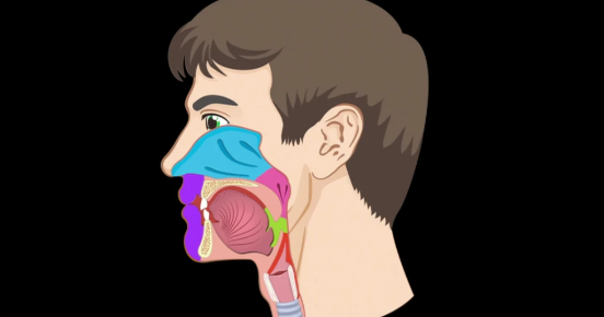 找回新“声音”清华研发可穿戴人工喉修复准确率超过90%
