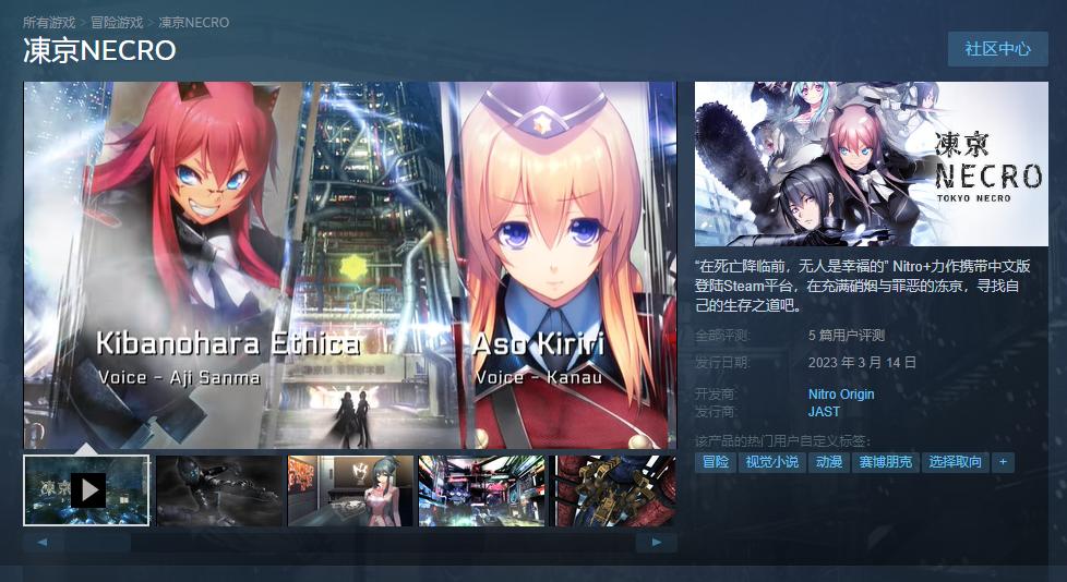 视觉小说《冻京NECRO》Steam版正式发售支持中文