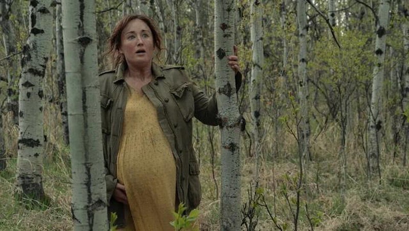 淘气的狗是计划开发的《最后生还者》前传艾莉的母亲是主角