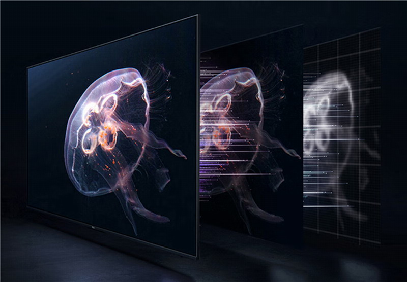 卷心菜的价格越来越远了。电视开启涨价模式：最高涨幅30%
