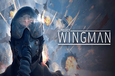 僚机计划 / Project Wingman v0.40.20.1210.3303