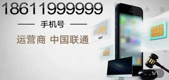 2614万6个9恶意拍卖手机号及后续法庭报告罚款8万元
