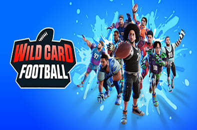 野卡橄榄球 / Wild Card Football