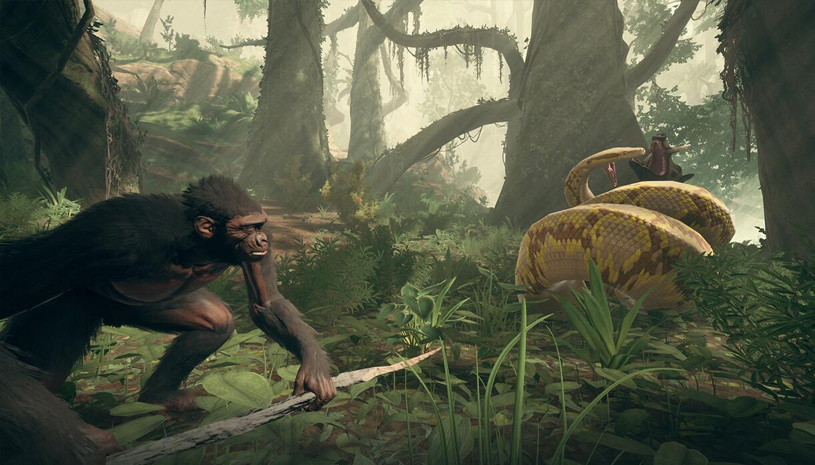 b80ed0cf65f406cc59c5d4f2e6624362