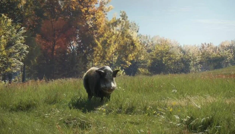 b1295ed6f40b86d5267694da8b9d4818