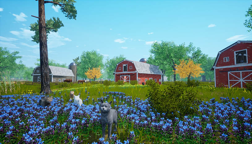 5c86970ee6575e090b09282aa035f5c6