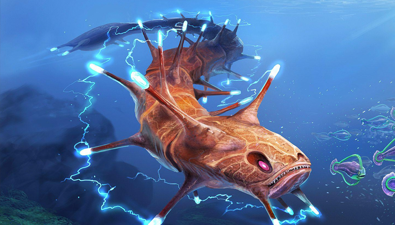 d351e783396ed251b9fe5fca55205a32