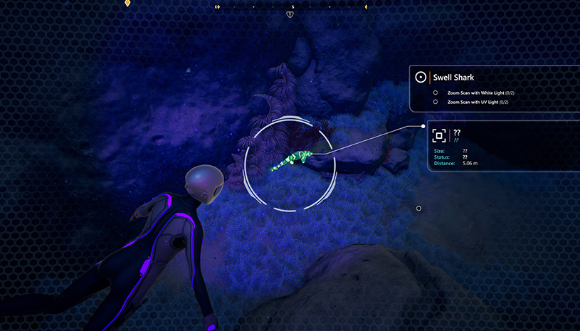 b010622d72773e5d2d3df86f8e291ca9