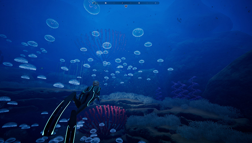 d961fb00c1adbe623aa86735bce4c310