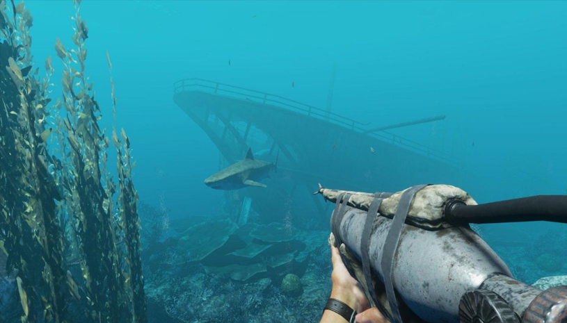 e8716c9a66342ec9a66a2068fd2c5633