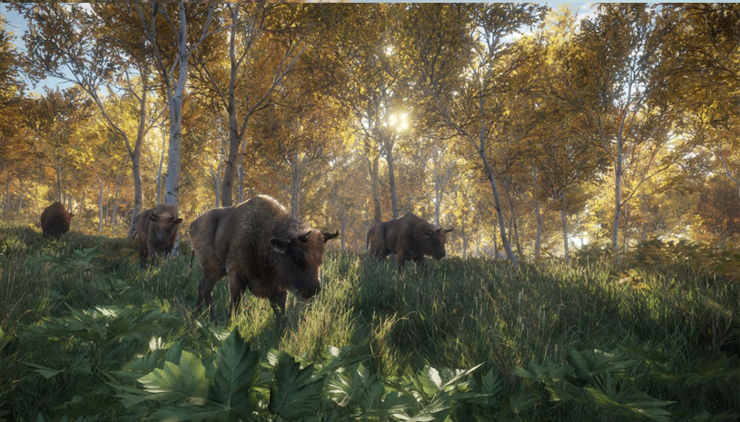 ebd594ed23c8e193a42446bab9d72318