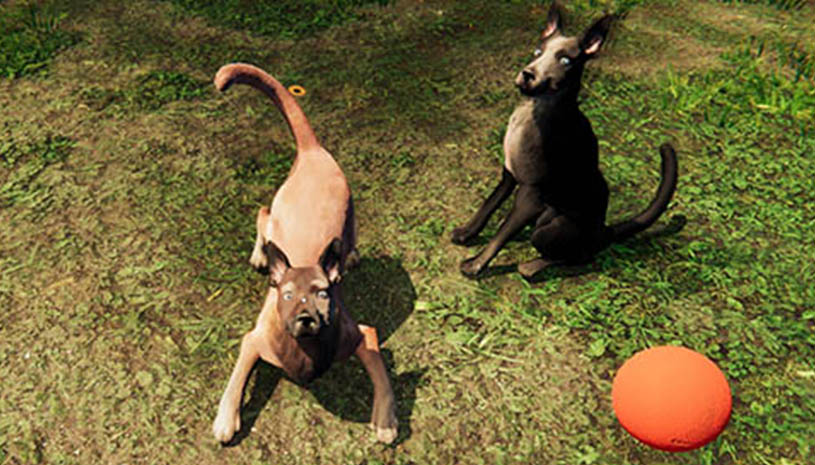 f0901d5be6b8413e9000c837ab22971c