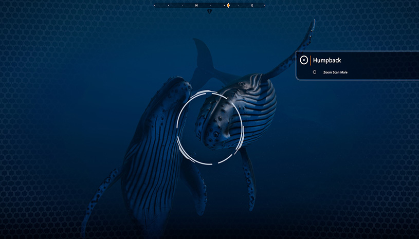 ee861c96a3d5c84643e5684690ea8bc1