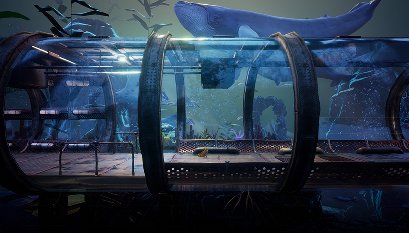 bb968e539f8485c82d81d403c77cd242