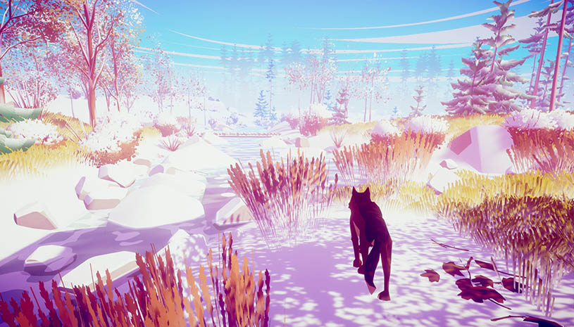 8289ea7247b3d305734aae0861b2d8a1