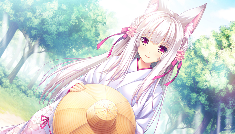 11364c118ef19df89d8351eba1822219