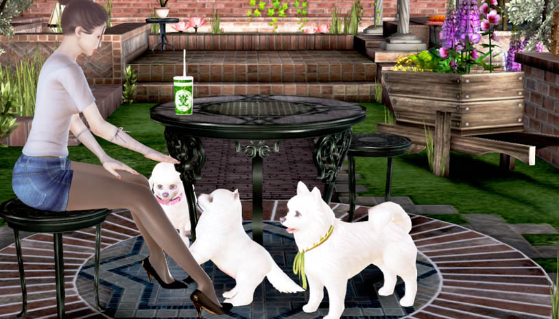 bb54f13b33f9d0e70eafa94bdd87c1bb