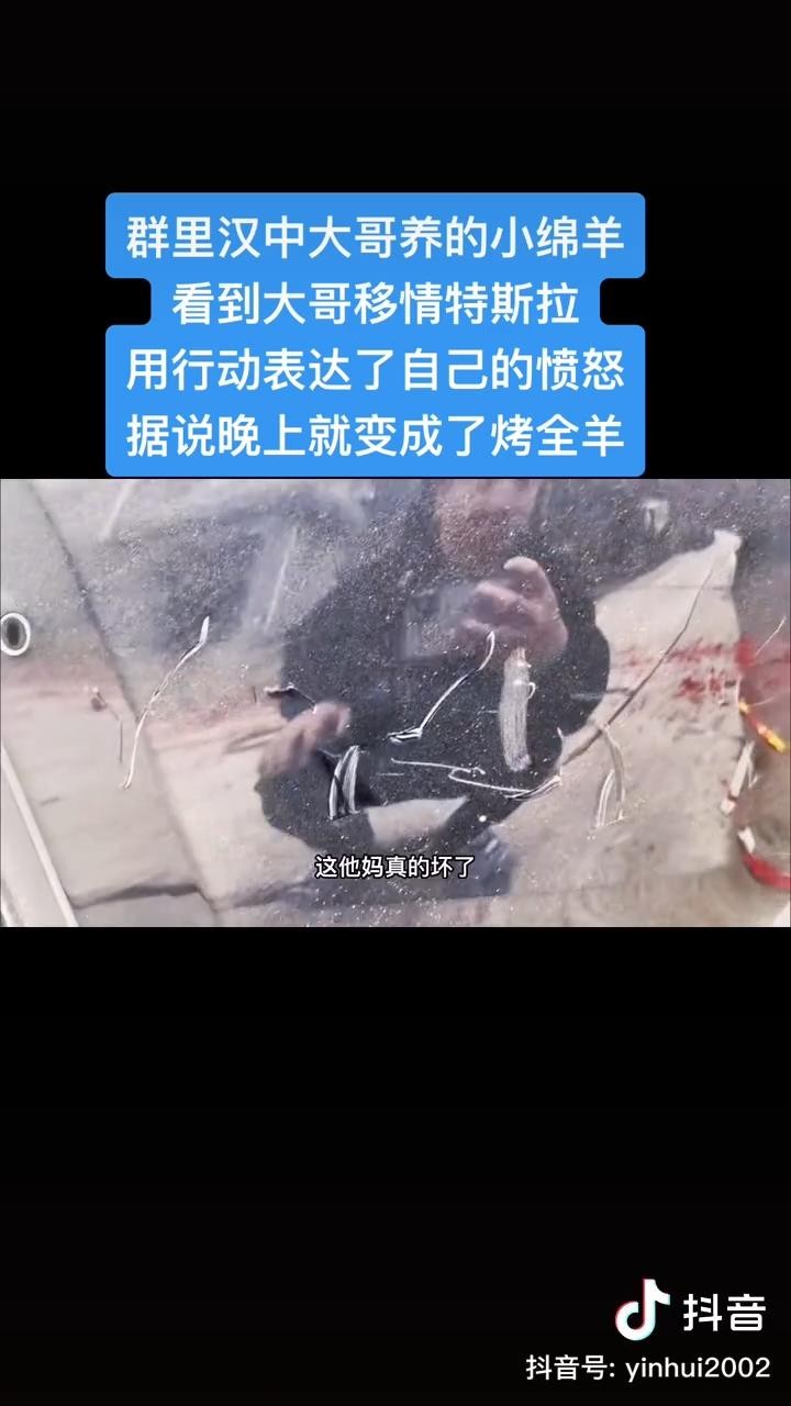 满新天特斯拉被羔羊围攻！车身被撞得面目全非。