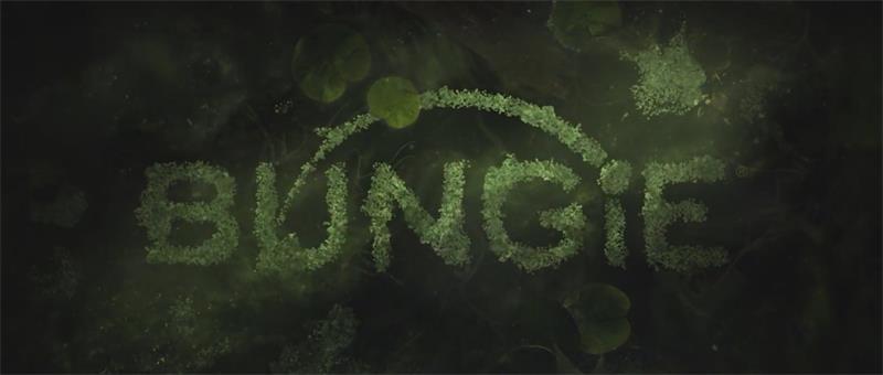 揭开光能真相！《命运2》幻邪姬正式上线。