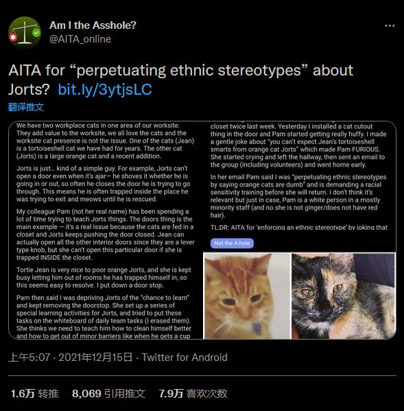 《星露谷物语》 Mod添加真正的网络名人猫为NPC。