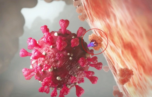 新仪器可以在家里做核酸检测，体积更轻的40分钟就能出结果。