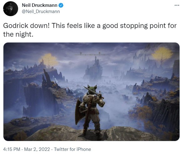 母狗尼尔孙《艾尔登法环》截图沉迷游戏