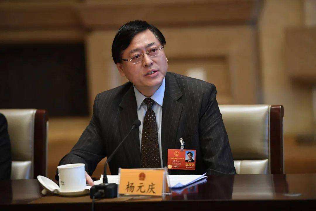 联想杨谈女性就业歧视：应该有一个男女平等分担产假成本的机制。