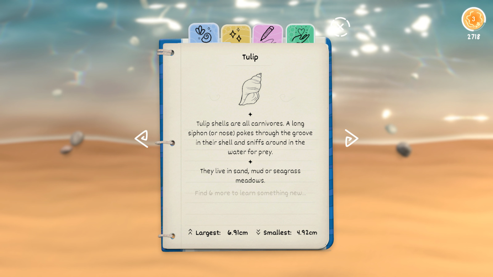 休闲禅游戏《Seashell》于3月28日上线，支持中文。