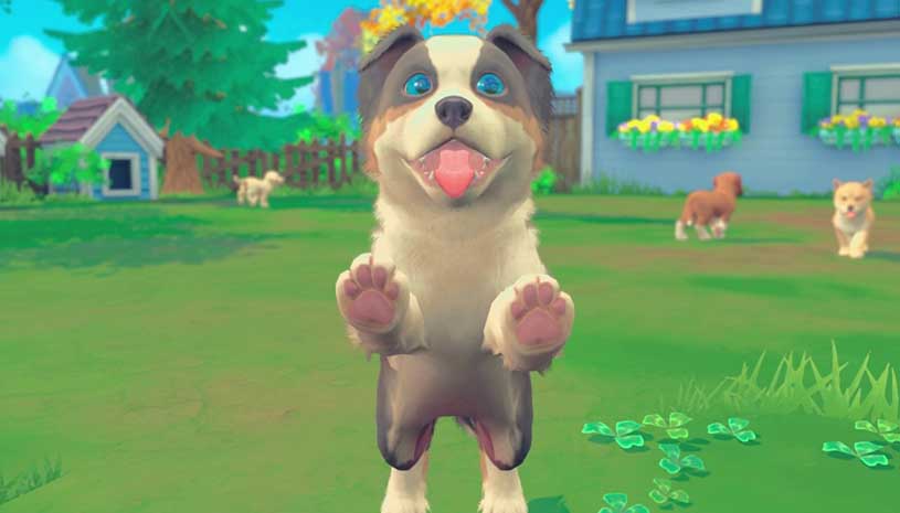 c31e8f630d96e13a64266b28046a0d88