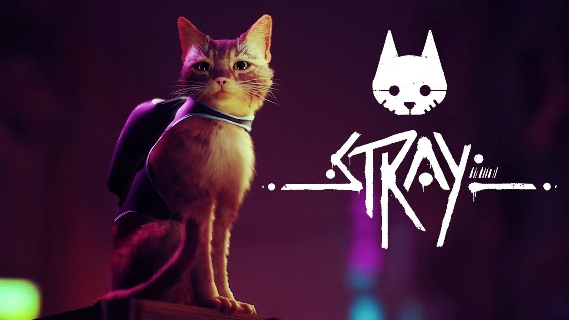 发行商确认猫冒险游戏《Stray》依然会在2022年发售。