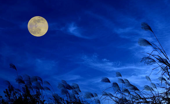 设定约《哈利波特》日本灵异专家谈《咒术回战》