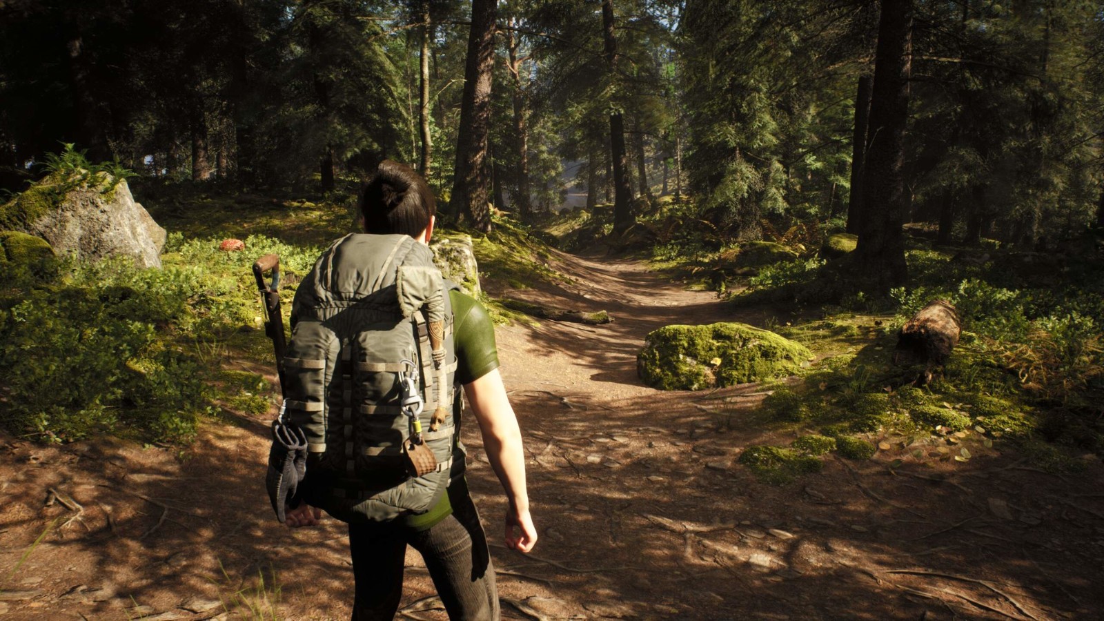 开放世界生存游戏《Rooted》内置蒸汽幻境5引擎