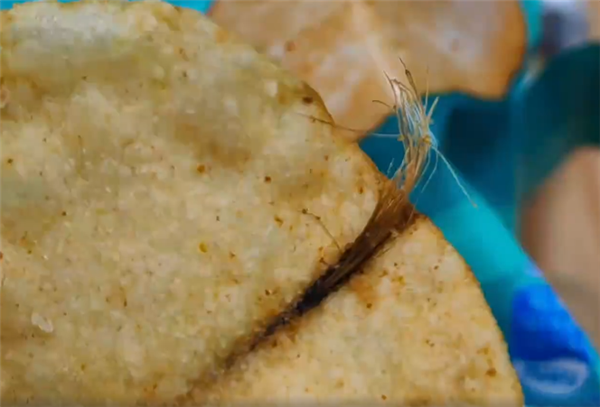 吃薯片里的头发？快感是土豆根茎：报道标题不实。