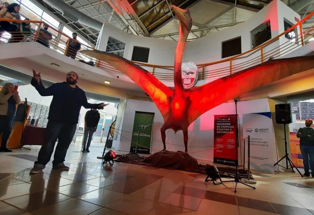 阿根廷出土“死亡翼龙”化石:南美洲最大的翼龙