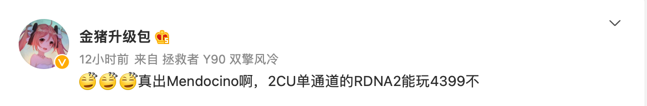 消息称，AMD新推出的MendocinoAPU采用2CURDNA2核显。