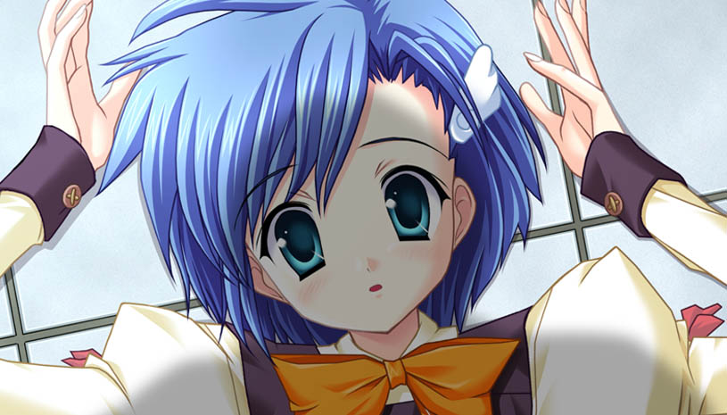 530ad47b57a40c92a24aa0d9b4449f1e