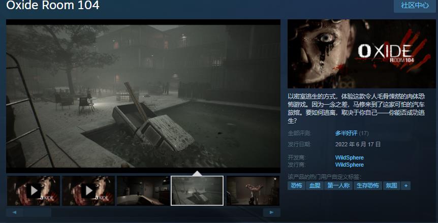 恐怖游戏《Oxide Room 104》卖国价80元