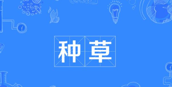 TikTok版《小红书》将grassApp推向字节，值得称道。