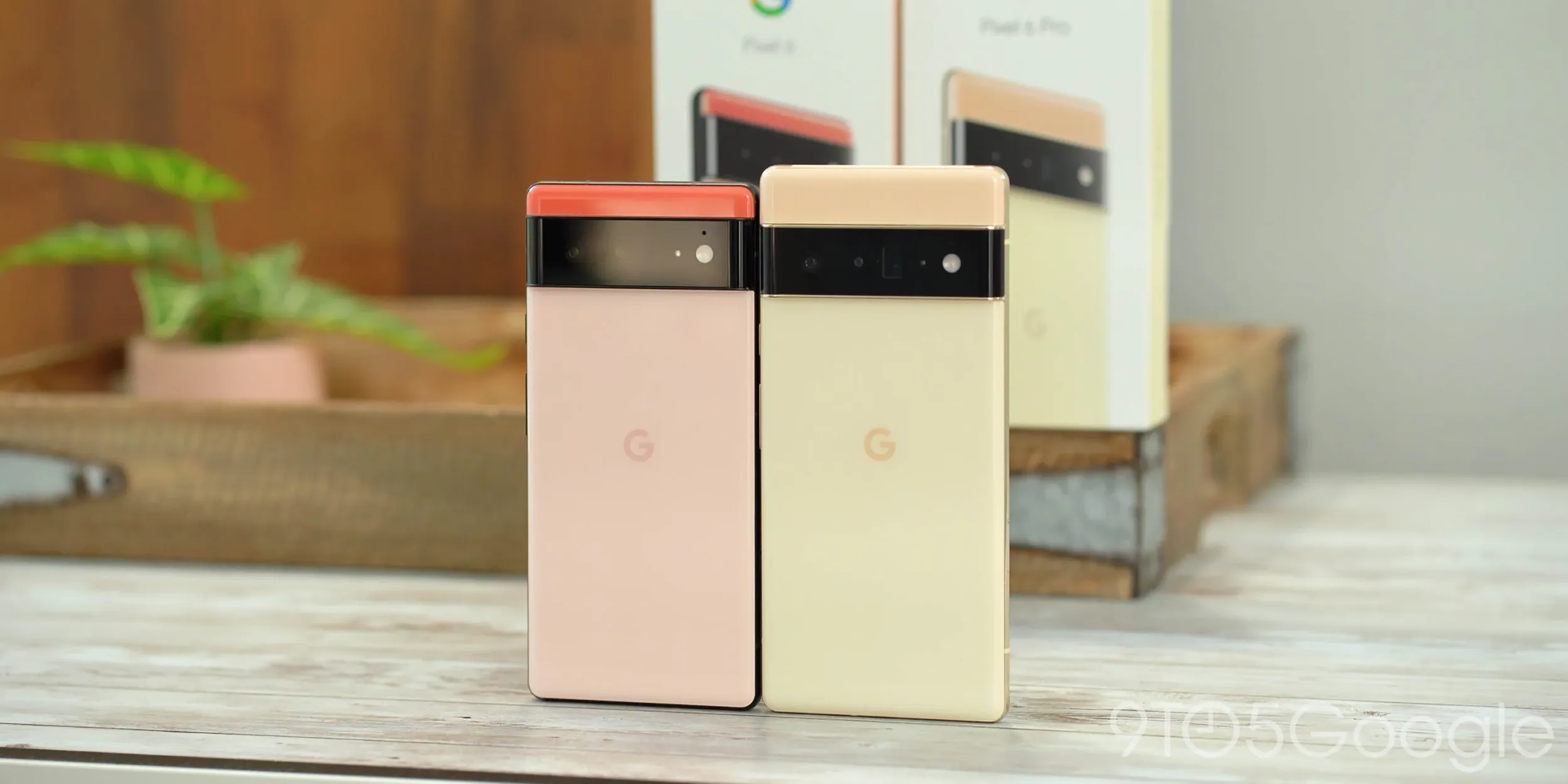 1300多的谷歌Pixel6官方公布降到3300元。