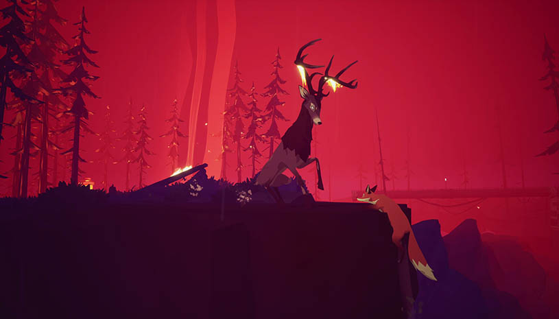 8b610feb82c925c5318cddfe7ea3fa50