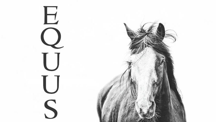 《荒野大镖客2》全新高清材质包让马活灵活现！