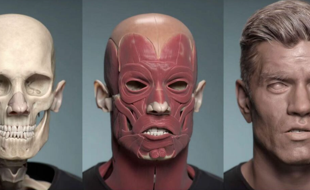 NVIDIA发布了新的引擎ACE来构建肌肉骨骼的真实虚拟图像。