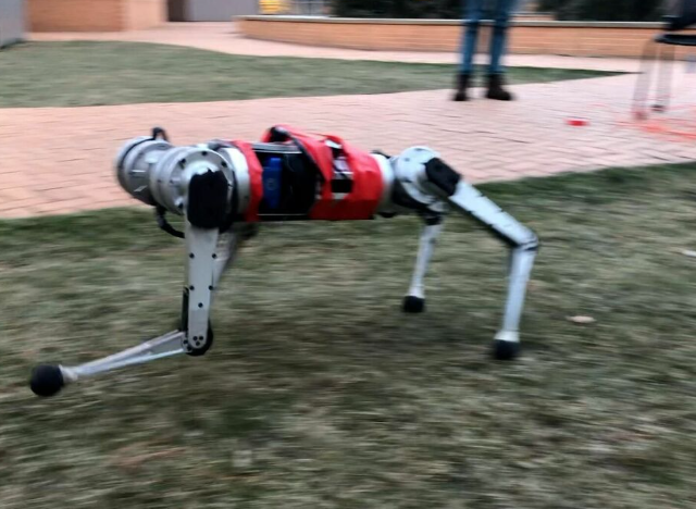 麻省理工学院的四足机器狗迷你猎豹的速度大大提高了机械学习的成绩。