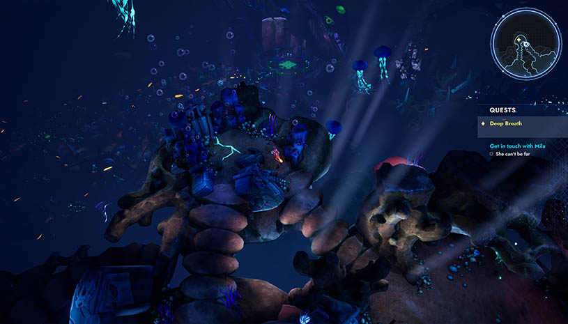 715ef17233d3a45f706fbc1e5033389b