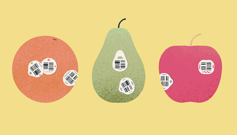 d33a528be482c57b93b7e9a382ac9316