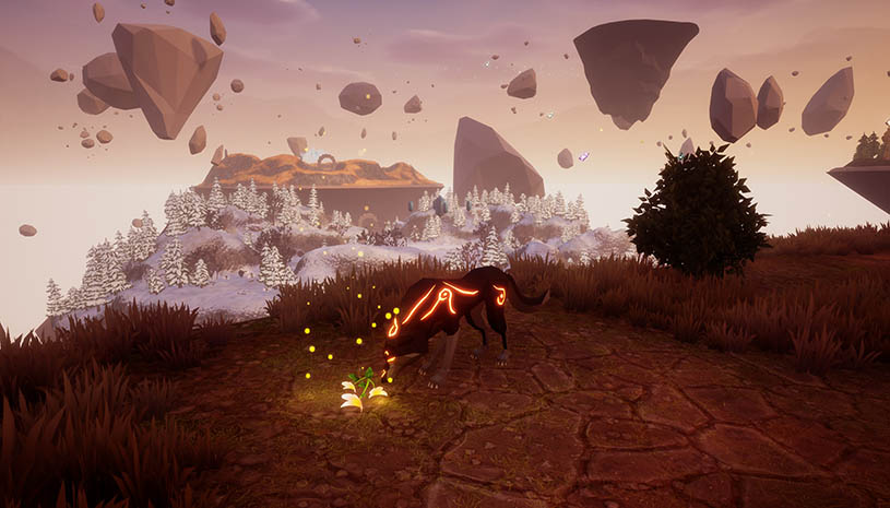 49da051ab7b0e5321b7f4e81f5d686dd